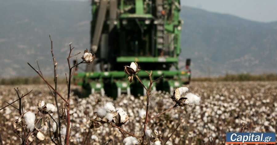 Στην τελική ευθεία το Ταμείο Μικροπιστώσεων για αγρότες