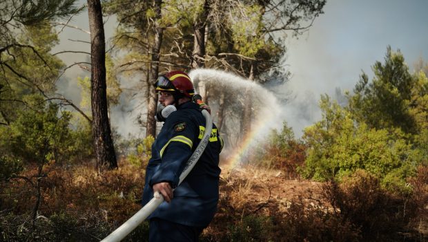 Φωτιά στη Θάσο: Δύο δασικές πυρκαγιές ξέσπασαν λόγω κεραυνών - Επιχειρούν και εναέριες δυνάμεις