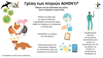 Γρίπη των πτηνών: Οι εστίες της νόσου στην Ελλάδα - Ο κίνδυνος για τους πτηνοτρόφους
