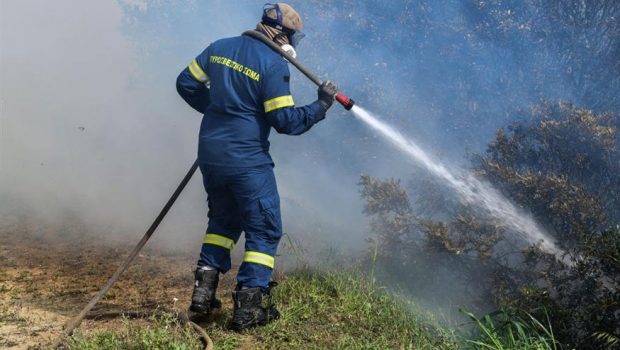 Ναυπακτία: Φωτιά σε δασική έκταση στην περιοχή της Τερψιθέας