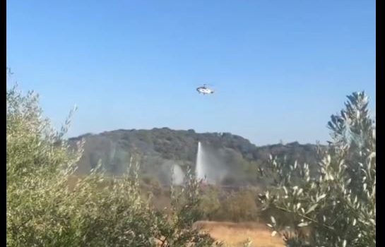 Φωτιά σε δασική έκταση στην περιοχή Τοξότες στην Ξάνθη