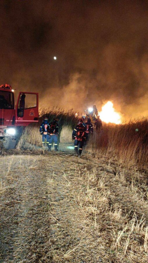 Φωτιά στη Σάμο | in.gr