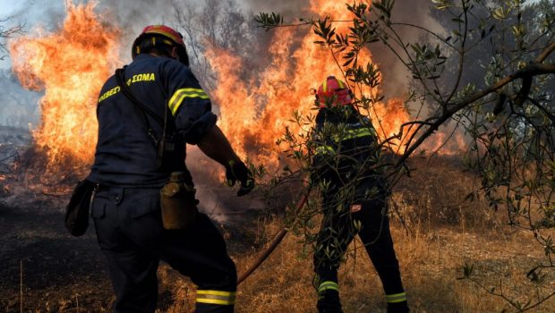 Αποκάλυψη in: Έμεινε στη φυλακή πέντε χρόνια για εμπρησμό και κατέκαψε πάλι δασική έκταση