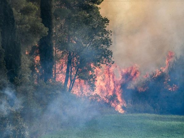 Κικίλιας: Αντιμετωπίστηκαν όλες οι φωτιές που ξέσπασαν στην Ηλεία