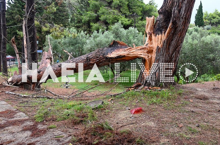 Ηλεία: Ανεμοστρόβιλος ξερίζωσε δέντρα και προκάλεσε ζημιές σε σπίτια