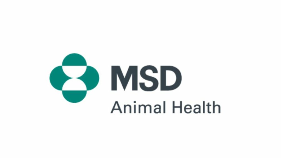 MSD Animal Health: Στο πλευρό των φοιτητών Κτηνιατρικής με 34 υποτροφίες