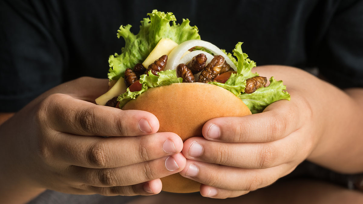 Χάμπουργκερ McDonald's συνδέονται με θανατηφόρο ξέσπασμα Ε coli στις ΗΠΑ