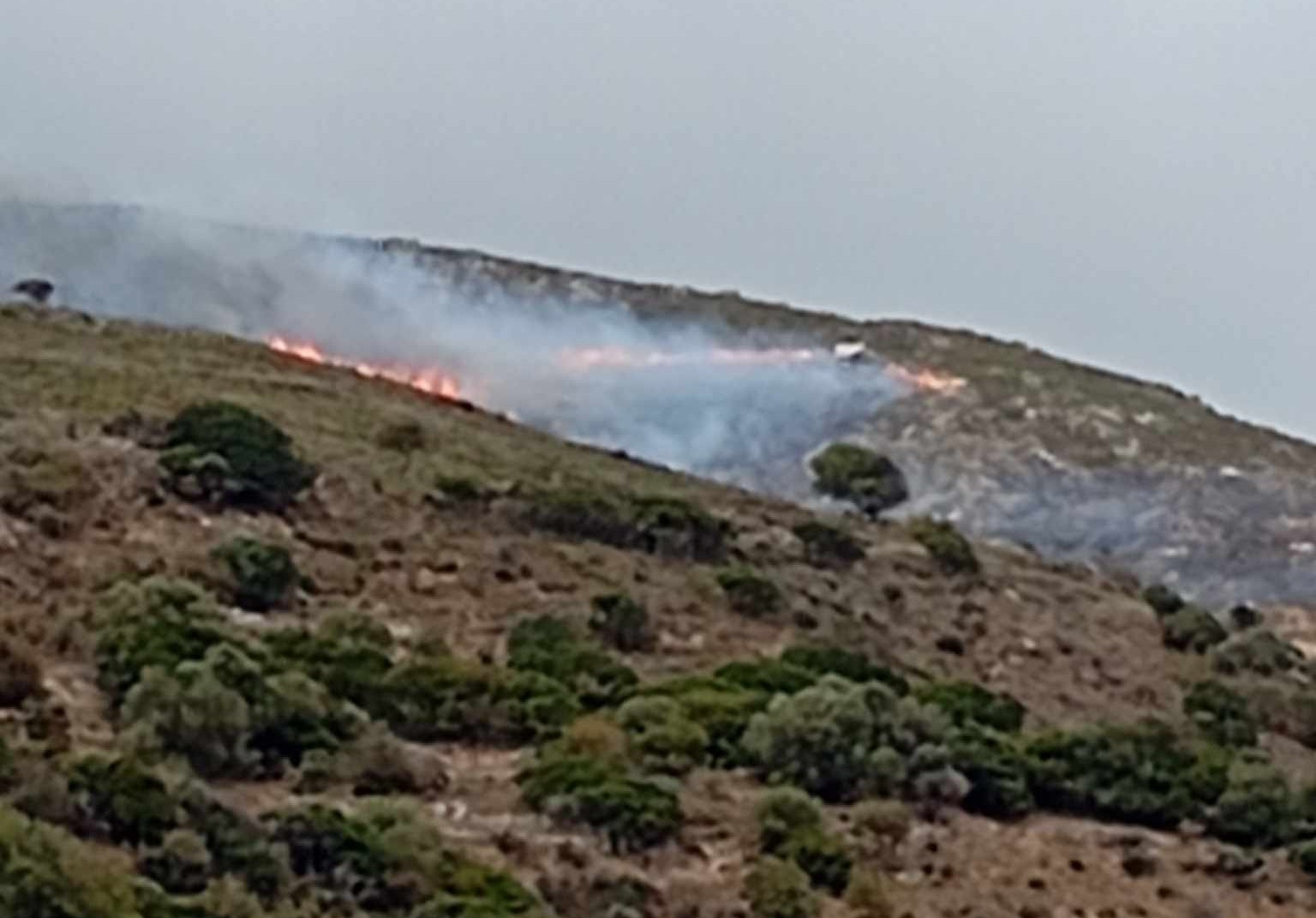 Φωτιά στα Χανιά: Καίει σε χαμηλή βλάστηση στην Κίσσαμο σε κοντινή απόσταση από οικισμούς