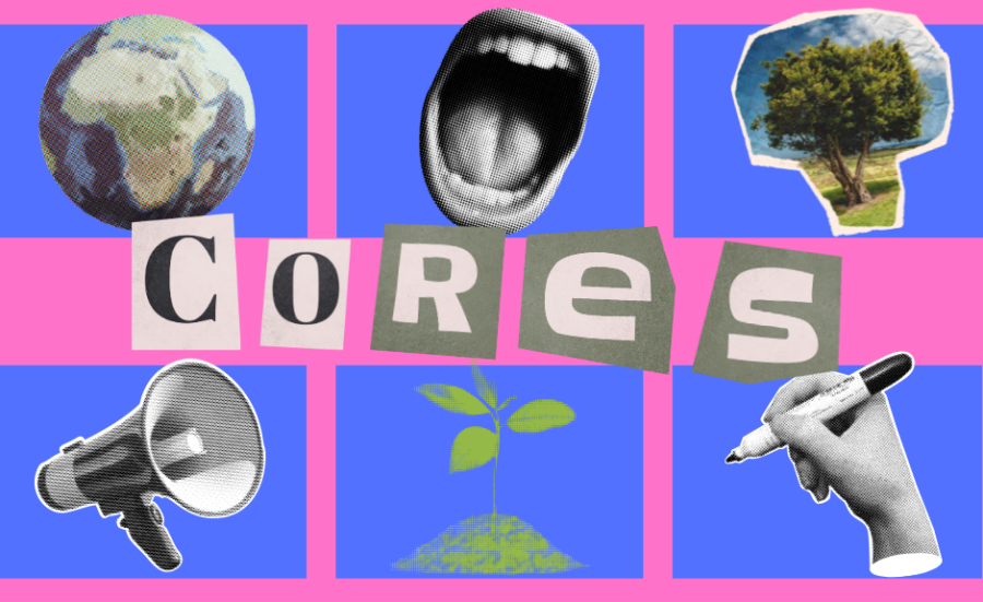 CoRES_Visual