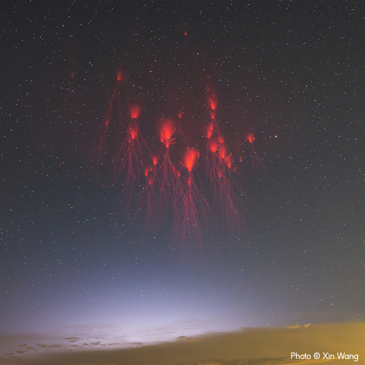 Οι νικητήριες φωτογραφίες των βραβείων Weather Photographer of the Year 2024