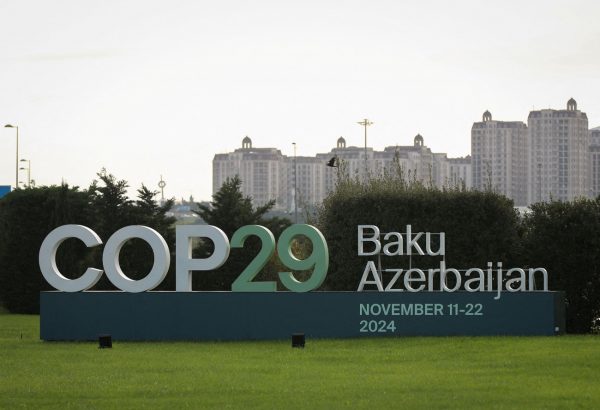 COP29