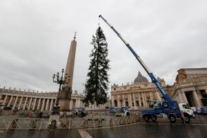 Βατικανό: Κάπως… ταλαιπωρημένο είναι το φετινό χριστουγεννιάτικο δέντρο