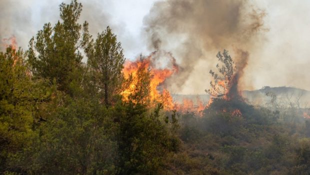 Φωτιά τώρα στην Αλίαρτο -Στη μάχη και εναέρια μέσα