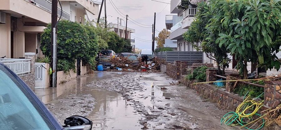 rodos