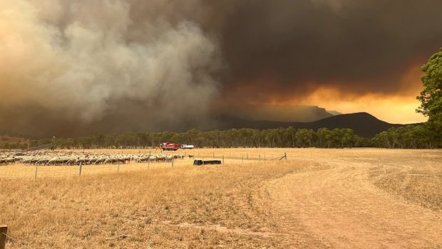 Αυστραλία: Μάχη των πυροσβεστικών δυνάμεων με πυρκαγιά τεραστίων διαστάσεων