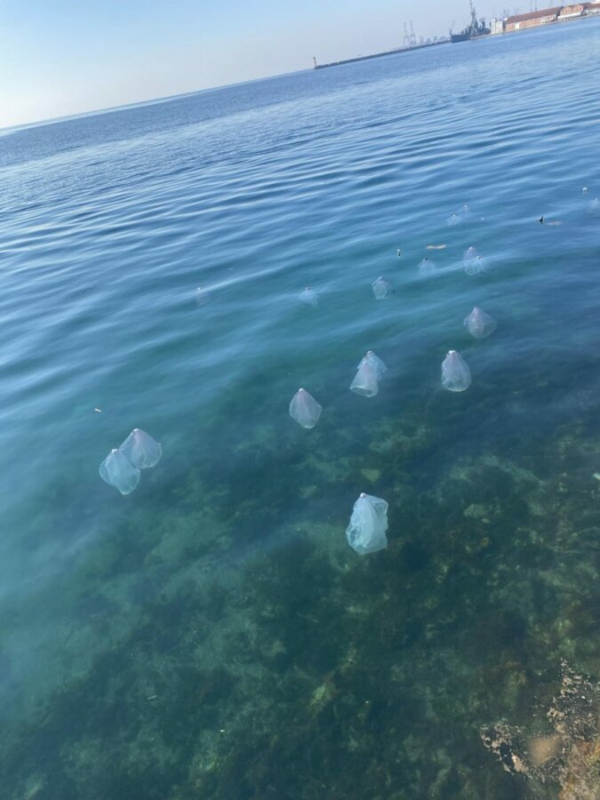 Φοιτήτριες βούτηξαν στον Θερμαϊκό για το πρώτο μπάνιο του 2025