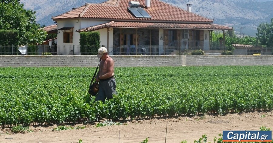 Εισαγωγή 89.000 εργαζομένων από τρίτες χώρες ενέκρινε η κυβέρνηση για φέτος...