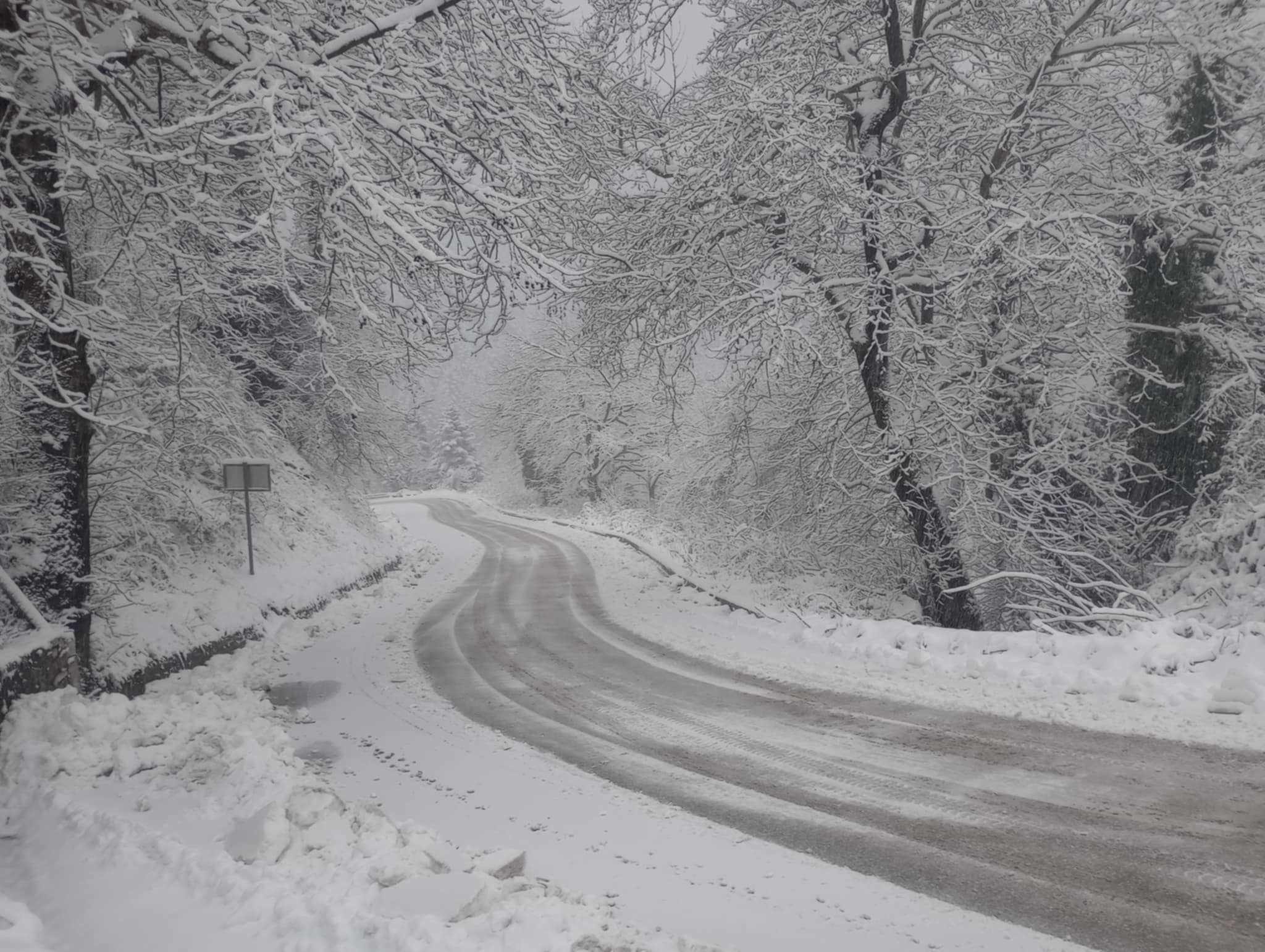 karditsa kairiko