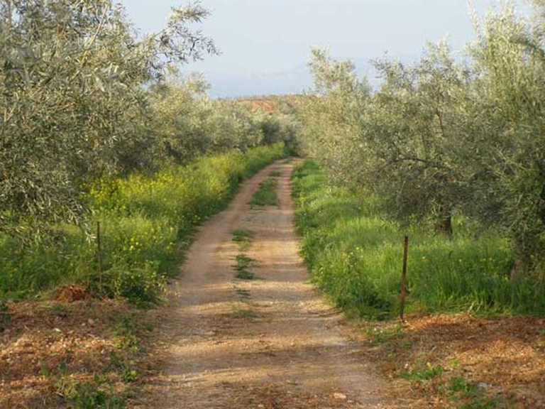 agrotikos-dromos