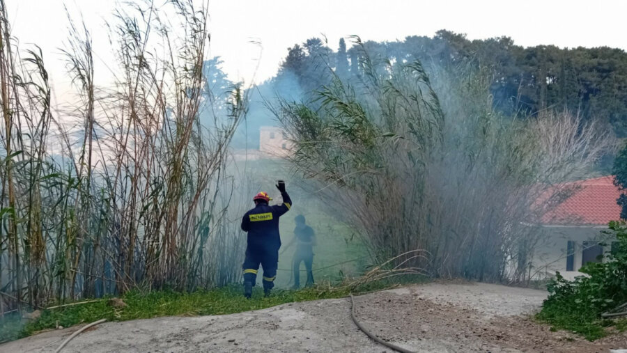 Φωτιά σε δασική έκταση στη Σάμο