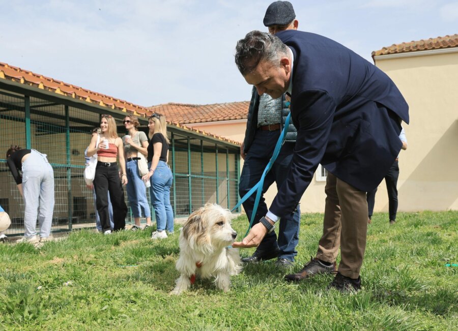 Dimos Larissaion-Dimotiko Katafygio-Xvros Proaylismou (8)