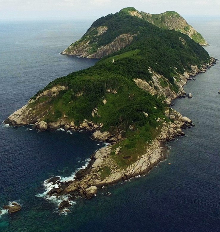 Ilha da Queimada Grande: Γιατί σε αυτό το νησί απαγορεύεται να πατήσει άνθρωπος;