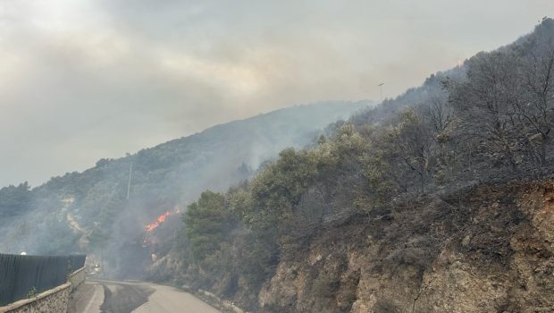 Λευκάδα: Σε ύφεση η φωτιά στο Κάθισμα - Χωρίς ενεργό μέτωπο